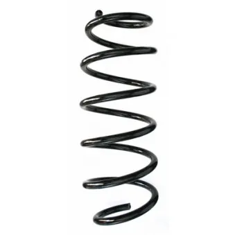 Ressort de suspension SPIDAN OEM 31255517