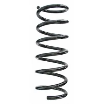 Ressort de suspension SPIDAN OEM 31202522