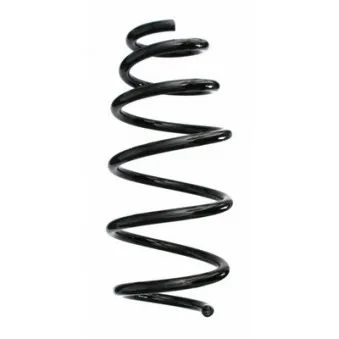 Ressort de suspension SPIDAN OEM 312436