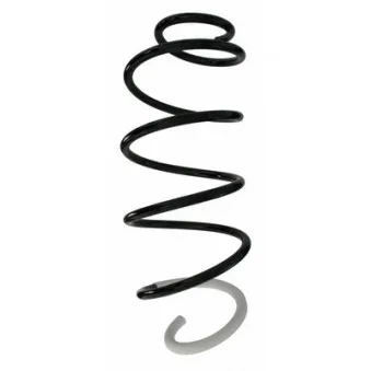 Ressort de suspension SPIDAN OEM 9802157180