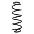 SPIDAN 87824 - Ressort de suspension