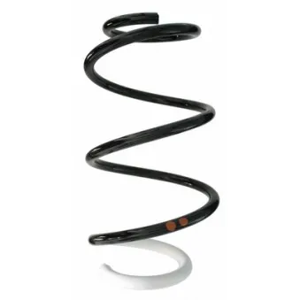 Ressort de suspension SPIDAN OEM 540107005R