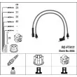 Kit de câbles d'allumage NGK [0664]