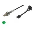 NGK 1531 - Sonde lambda