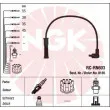 NGK 44280 - Kit de câbles d'allumage