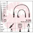 NGK 44285 - Kit de câbles d'allumage