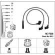 NGK 8612 - Kit de câbles d'allumage