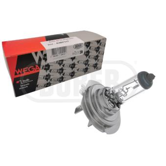 Ampoule DÜRER OEM 981465 Ampoule DÜRER OEM 981465