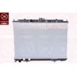 KLOKKERHOLM 1678302238 - Radiateur, refroidissement du moteur
