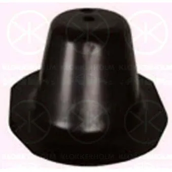 Patin de ressort KLOKKERHOLM 2031850