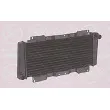 Radiateur, refroidissement du moteur KLOKKERHOLM [2525302006]