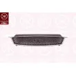 KLOKKERHOLM 2534991 - Grille de radiateur