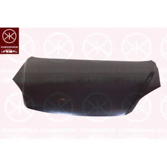 Capot-moteur KLOKKERHOLM 2957281A1