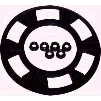 Joint d'étanchéité, palpeur de réservoir KLOKKERHOLM 29990093