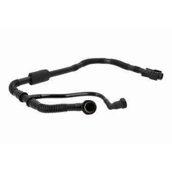 Tuyau, ventilation de carter-moteur VAICO [V22-1303]