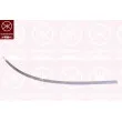 Baguette et bande protectrice, pare-chocs arrière gauche KLOKKERHOLM [3508971]