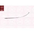 KLOKKERHOLM 3518922 - Baguette et bande protectrice, pare-chocs avant droit