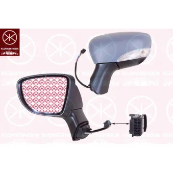 Rétroviseur extérieur KLOKKERHOLM OEM 963669996R