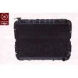 KLOKKERHOLM 8130302217 - Radiateur, refroidissement du moteur