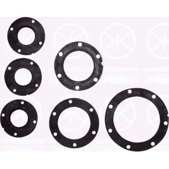 Joint d'étanchéité, palpeur de réservoir KLOKKERHOLM 81420092