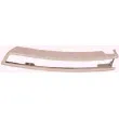 KLOKKERHOLM 9540924 - Baguette et bande protectrice, pare-chocs avant droit