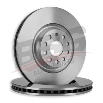 Jeu de 2 disques de frein avant BSG OEM 8S0615301 Jeu de 2 disques de frein avant BSG OEM 8S0615301