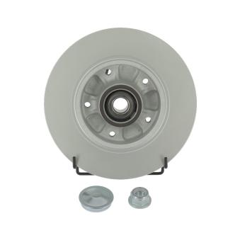 Jeu de 2 disques de frein arrière FERODO OEM 432008191R Jeu de 2 disques de frein arrière FERODO OEM 432008191R