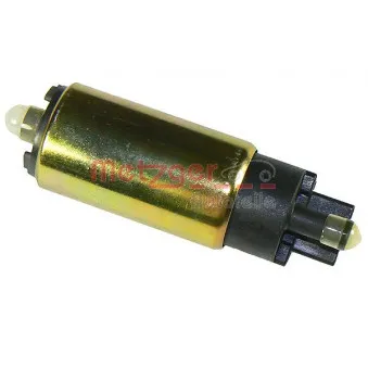 Pompe à carburant METZGER OEM X10-734-002-018