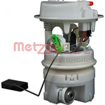 Unité d'injection de carburant METZGER 2250176 pour CITROEN C4 2.0 16V - 136cv