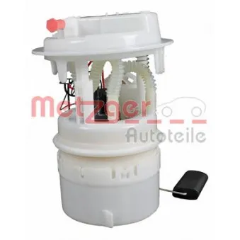 Unité d'injection de carburant METZGER 2250184 pour PEUGEOT 307 2.0 16V - 136cv