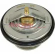 METZGER 4006024 - Thermostat d'eau