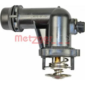 METZGER 4006089 - Thermostat d'eau