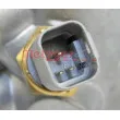 METZGER 4006280 - Thermostat d'eau
