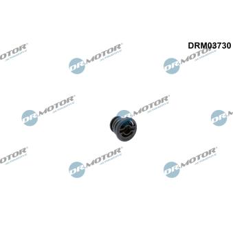 Vis de fermeture, carter de boîte de vitesses automatique Dr.Motor DRM03730 pour AUDI Q5 SQ5 TFSI quattro - 354cv Vis de fermeture, carter de boîte de vitesses automatique Dr.Motor DRM03730 pour AUDI Q5 SQ5 TFSI quattro - 354cv