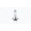 MAGNETI MARELLI 002901900000 - Ampoule, projecteur longue portée