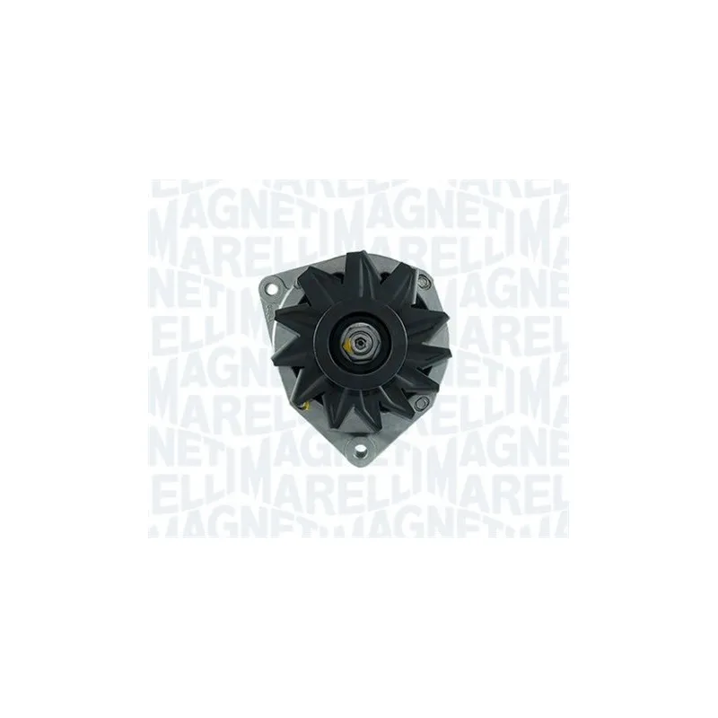 Alternateur MAGNETI MARELLI 944390904420 - Visuel 1