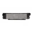 Intercooler, échangeur THERMOTEC [DAB010TT]