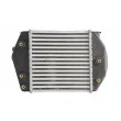 THERMOTEC DA3002TT - Intercooler, échangeur