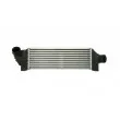 Intercooler, échangeur THERMOTEC [DAG010TT]