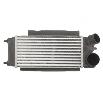 Intercooler, échangeur THERMOTEC OEM 1722905