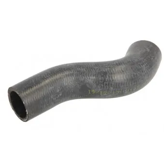 THERMOTEC DWX194TT - Durite de radiateur