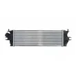 THERMOTEC DAX014TT - Intercooler, échangeur