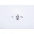 BOSCH 0 433 175 489 - Buse d'injecteur