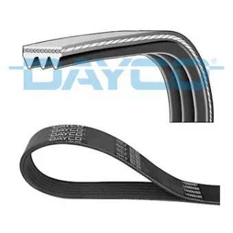 DAYCO 3PK800S - Courroie trapézoïdale à nervures