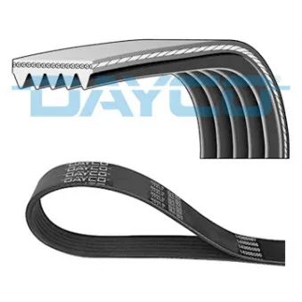 DAYCO 5PK925S - Courroie trapézoïdale à nervures