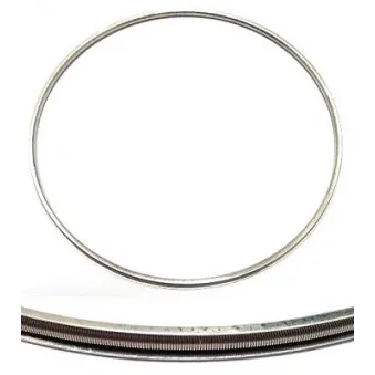 Joint d'étanchéité, culasse ELRING 102.369