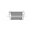 Intercooler, échangeur AVA QUALITY COOLING [AI4215]