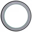 ELRING 905.480 - Bague d'étanchéité, vilebrequin