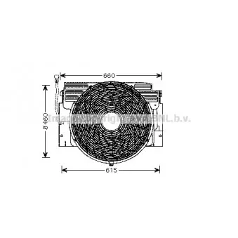 Ventilateur, refroidissement du moteur AVA QUALITY COOLING OEM 6921940