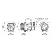 AVA QUALITY COOLING BWK416 - Compresseur, climatisation